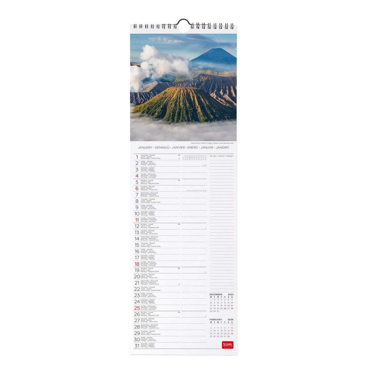 2026 Wall Calendar - 16 x 49 cm