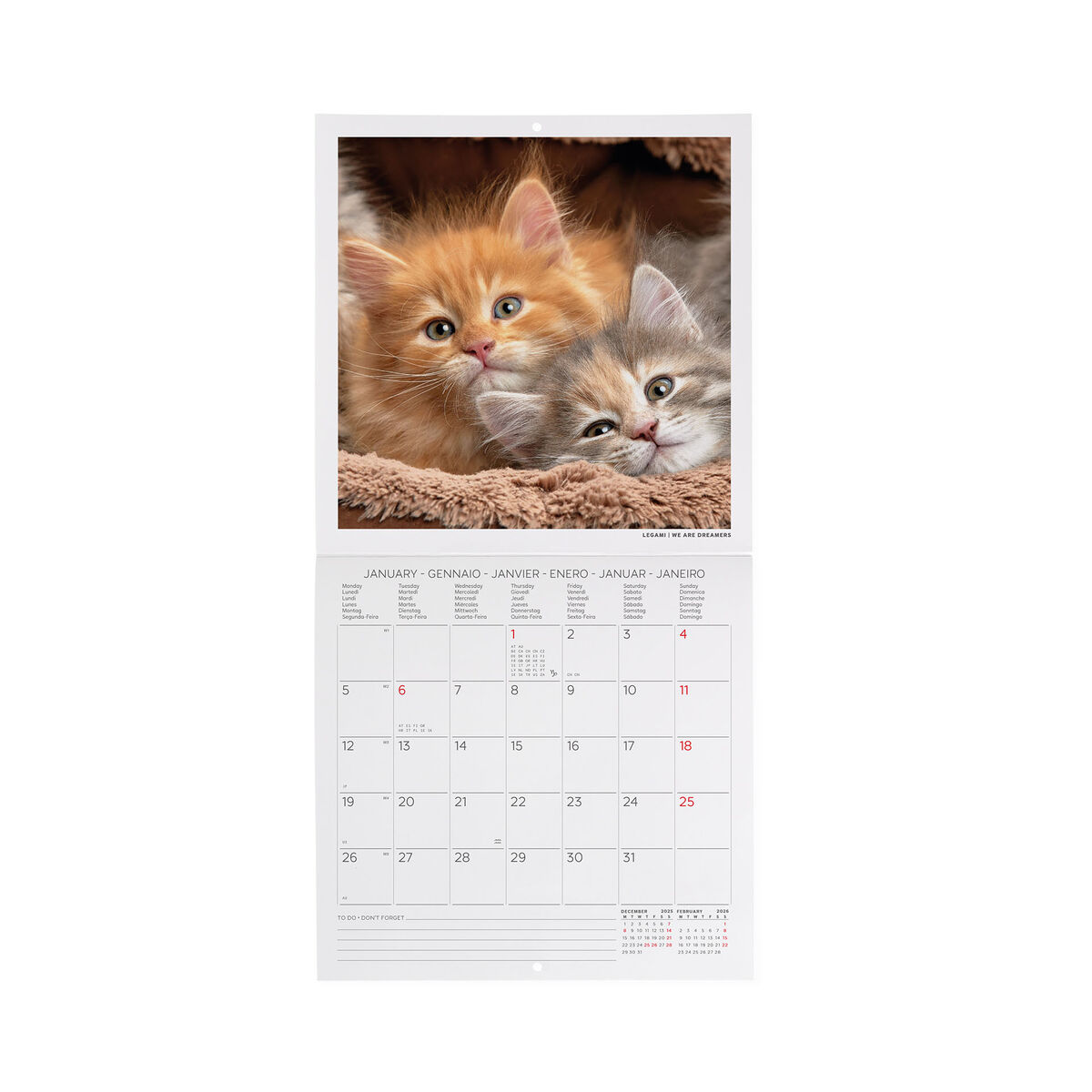 2026 Wall Calendar - 18 x 18 cm