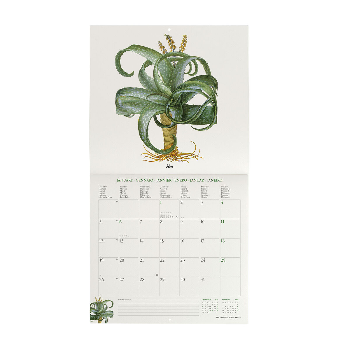 2026 Wall Calendar - 30 x 29 cm