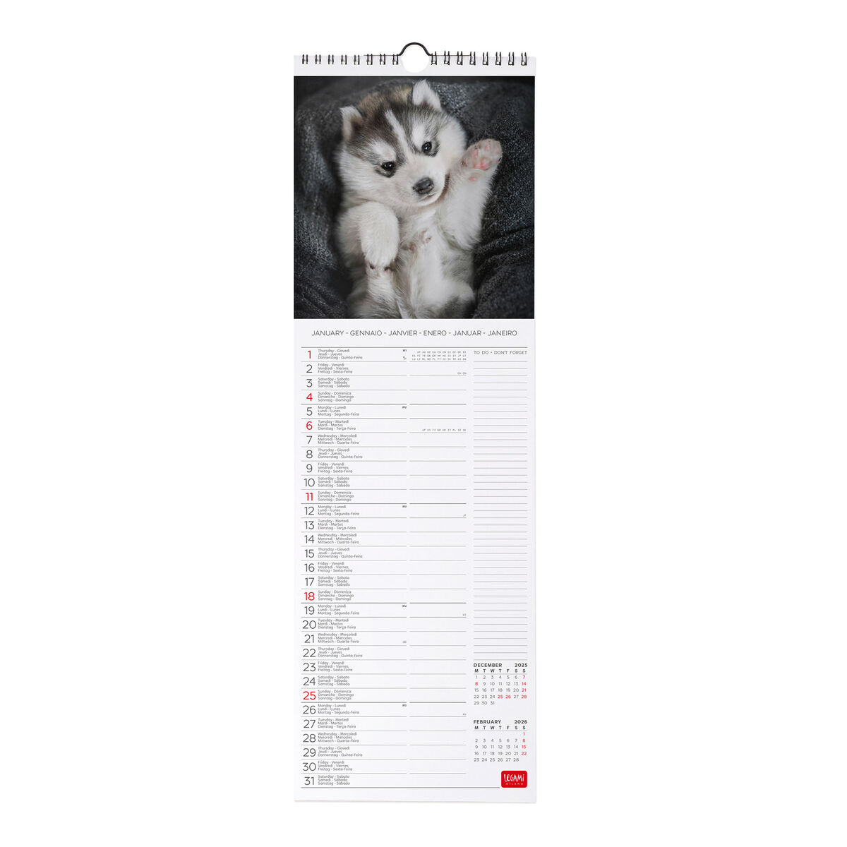 2026 Wall Calendar - 16 x 49 cm