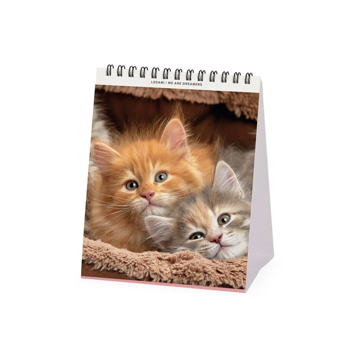 2026 Desk Calendar - 12 x 14,5 cm
