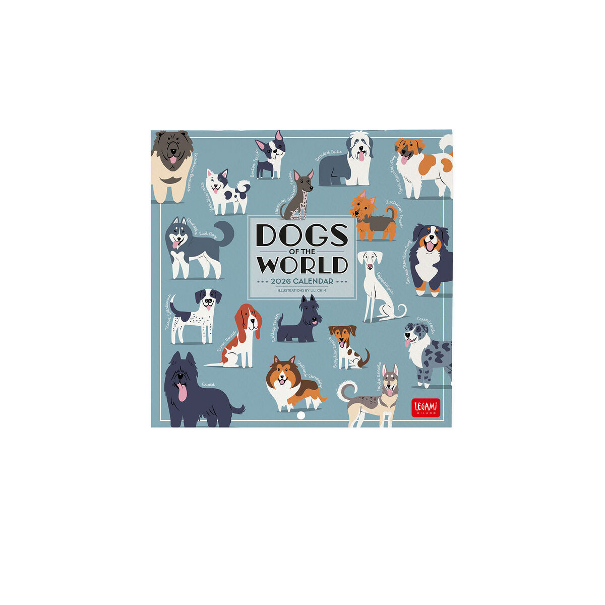 2026 Wall Calendar - 18 x 18 cm