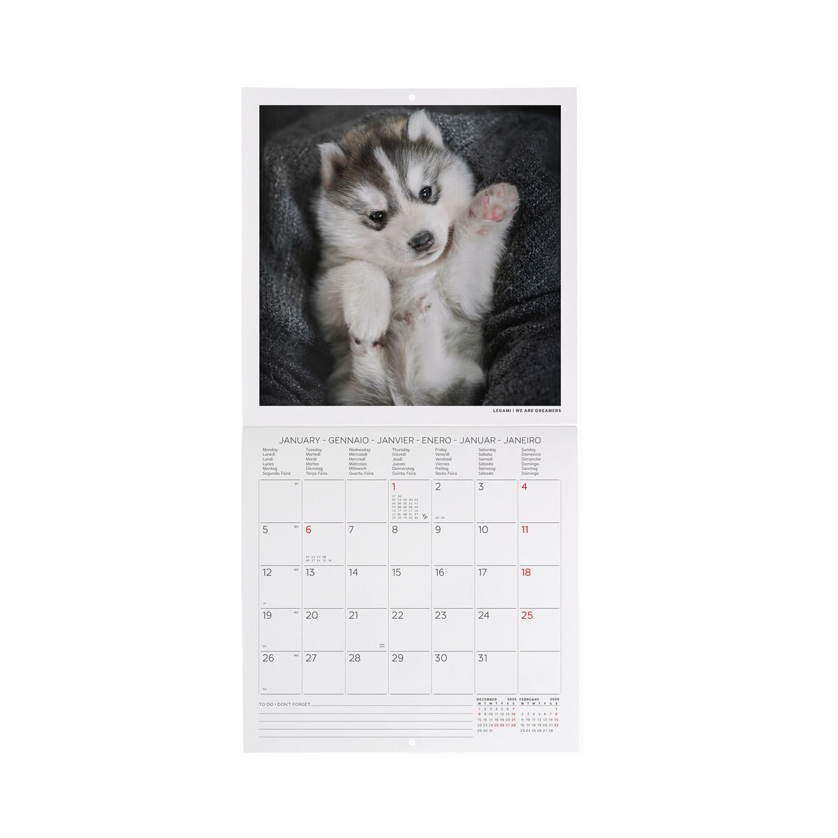 2026 Wall Calendar - 18 x 18 cm