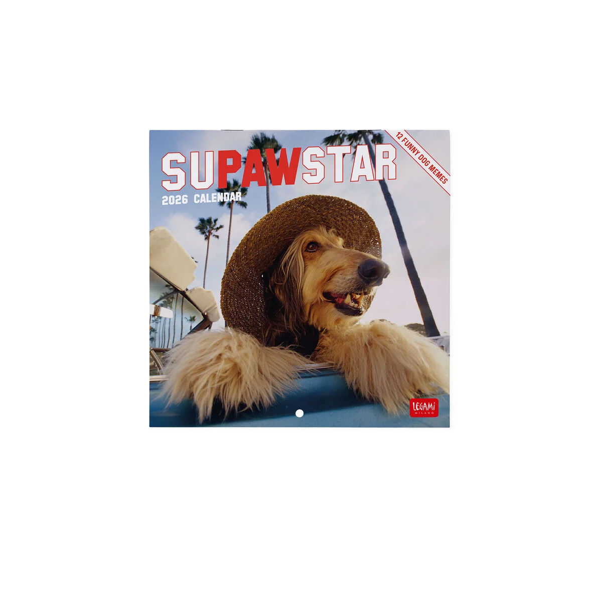 2026 Wall Calendar - 18 x 18 cm