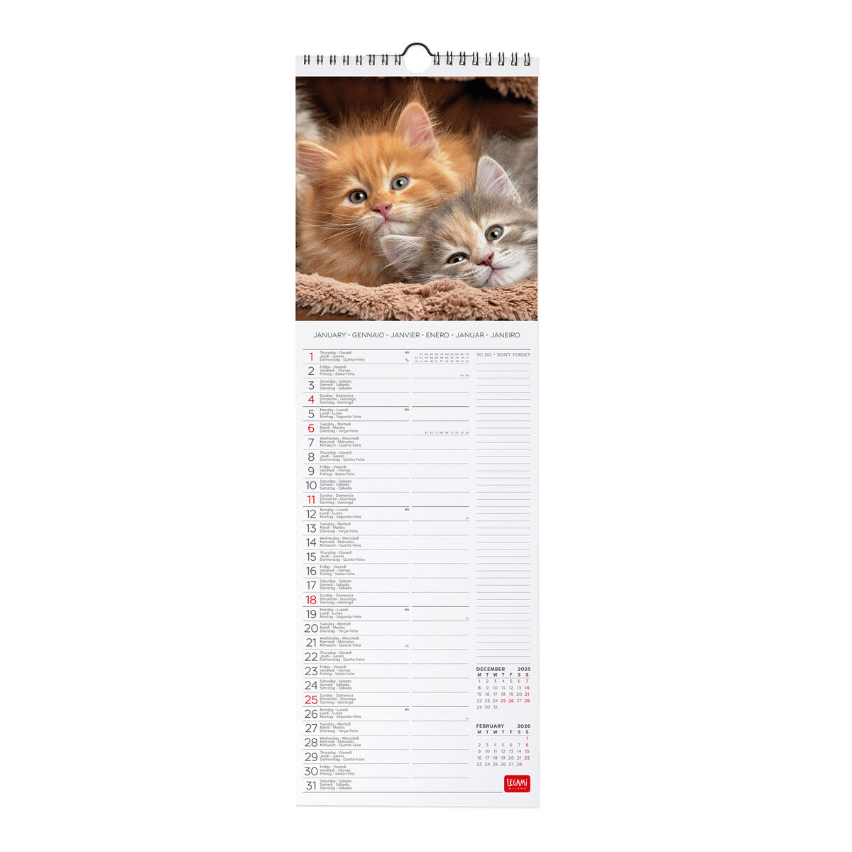 2026 Wall Calendar - 16 x 49 cm