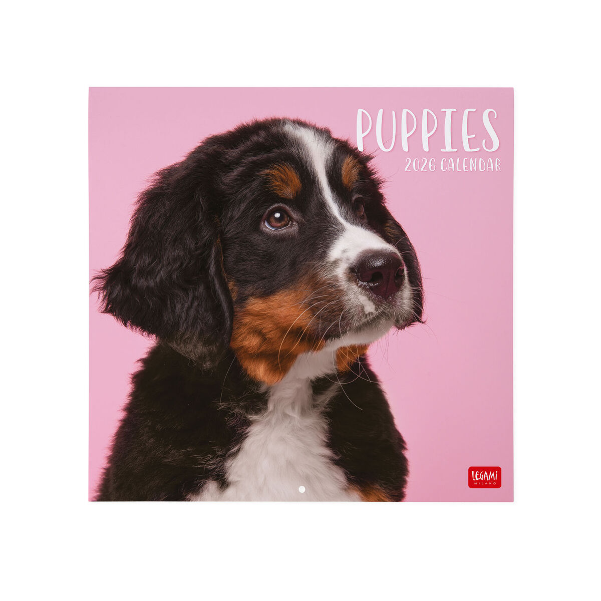 2026 Wall Calendar - 30 x 29 cm