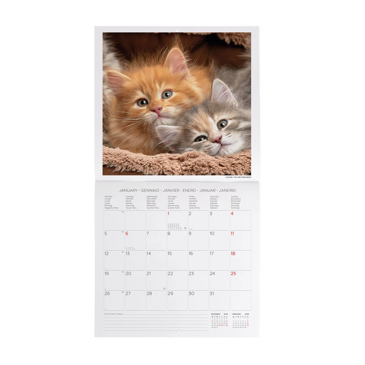 2026 Wall Calendar - 30 x 29 cm
