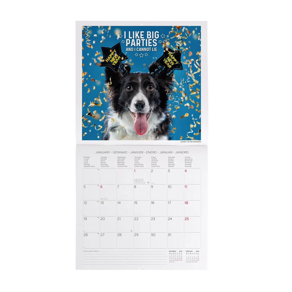 2026 Wall Calendar - 30 x 29 cm