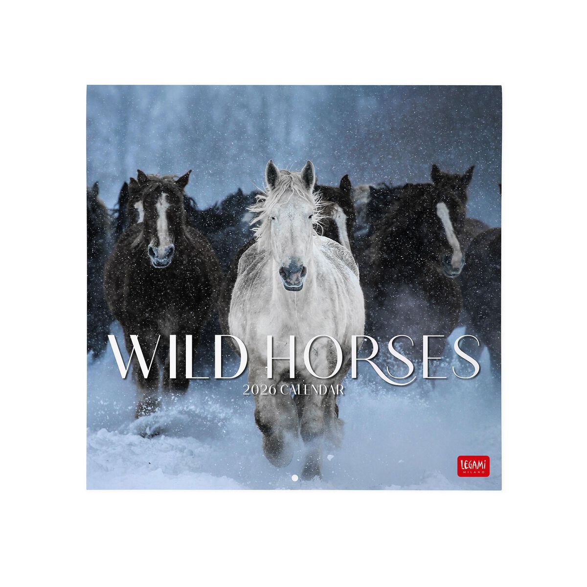 2026 Wall Calendar - 30 x 29 cm