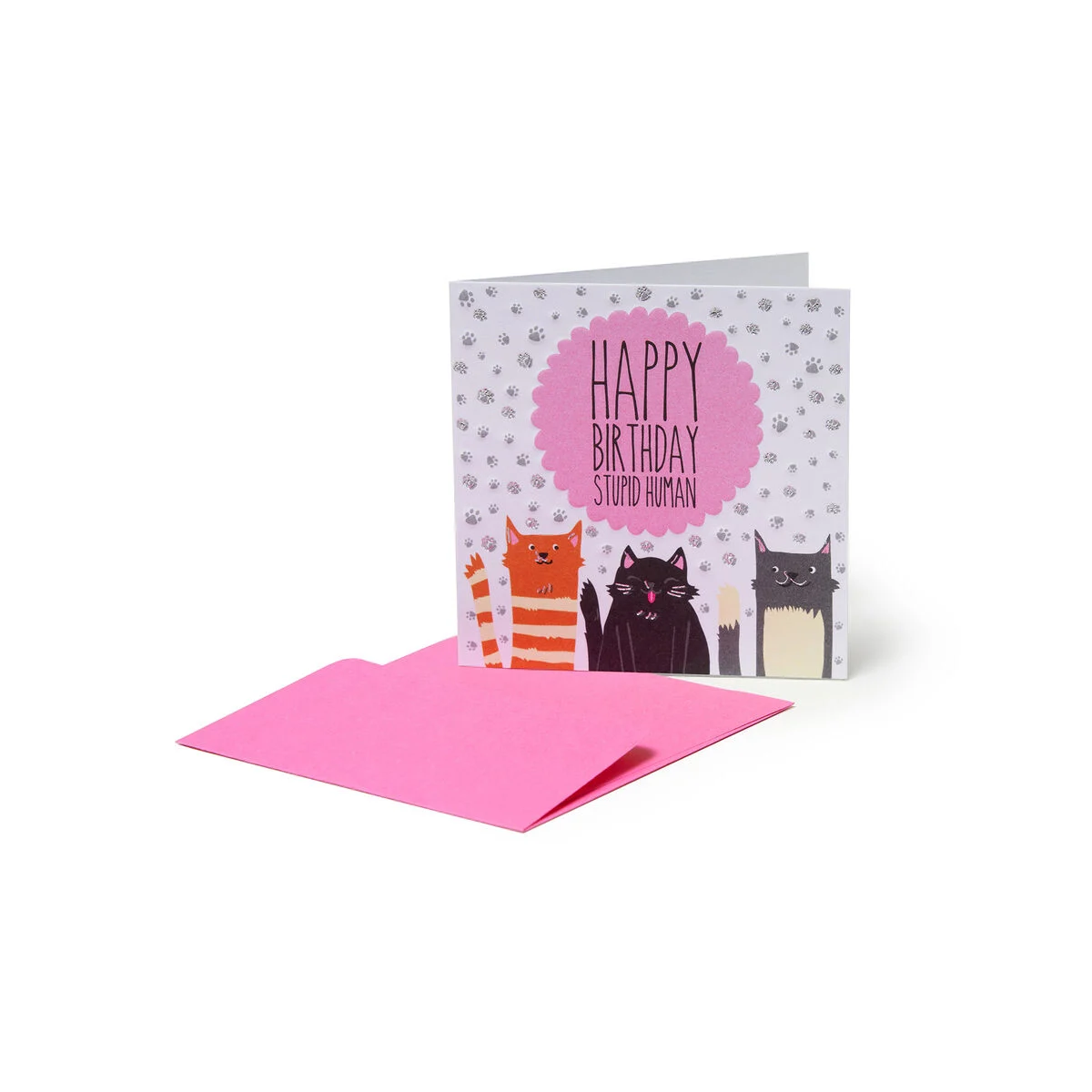 Greeting Card - Gatti