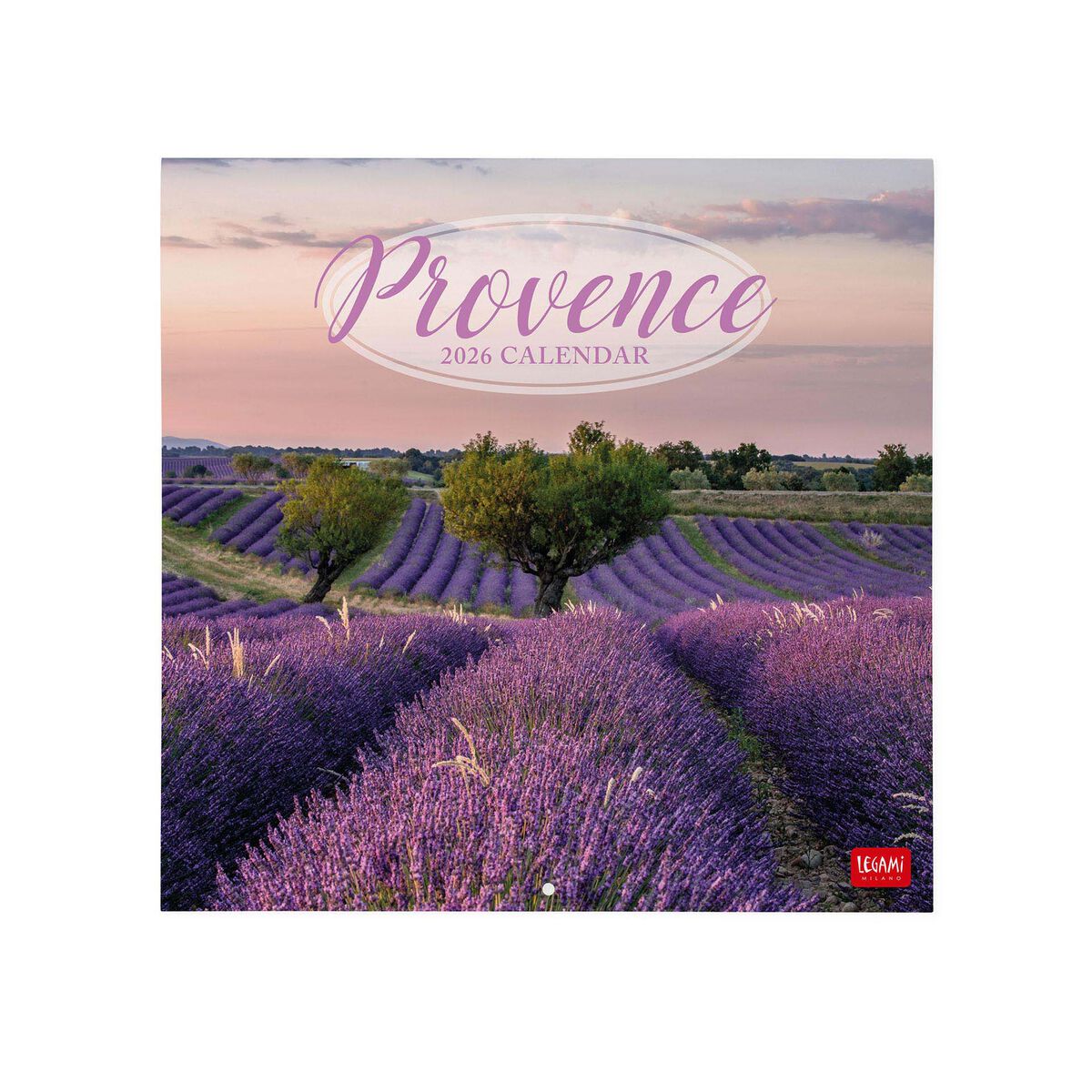 2026 Wall Calendar - 30 x 29 cm