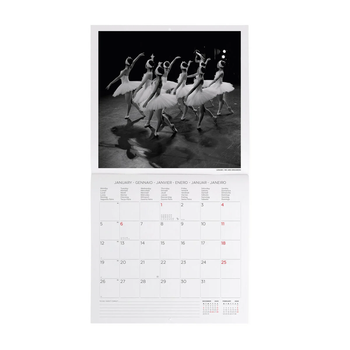 2026 Wall Calendar - 30 x 29 cm