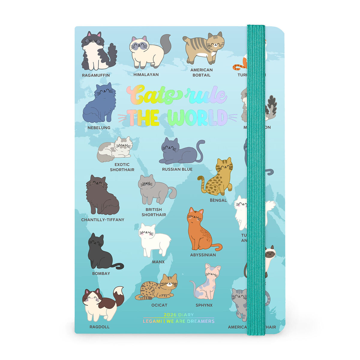 12-Month Medium Weekly Photo Diary - 2026