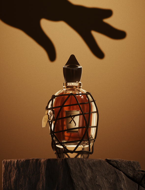 P.13 Limited Edition