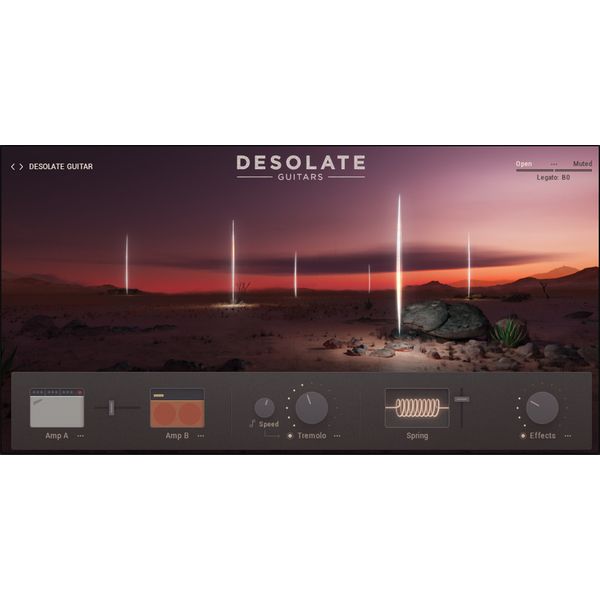 e-instruments Desolate Guitars