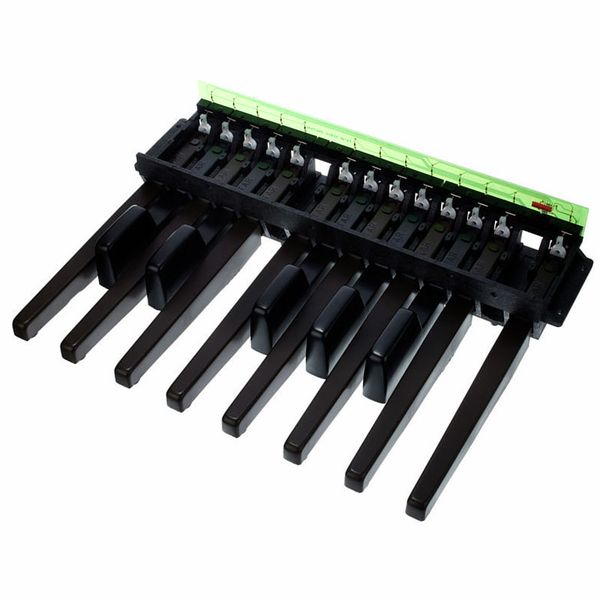 Doepfer MBP25 Electronic with 1 Pedal