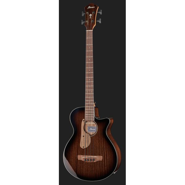 Ibanez AEGB24E-MHS