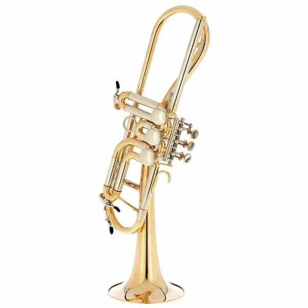 Schagerl Ganschhorn 2021 UL