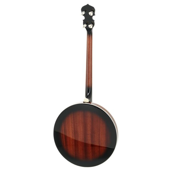 Gold Tone TS-250 Tenor Banjo w/Case