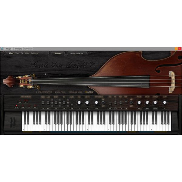 Ample Sound Ample Bass Upright III