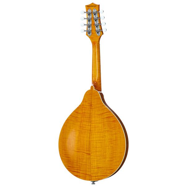 Richwood RMA-110-VS A-Style