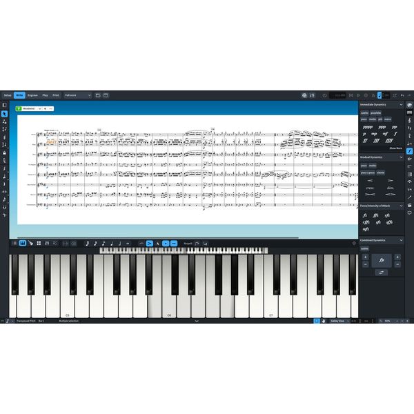 Steinberg Dorico Elements 4 EDU