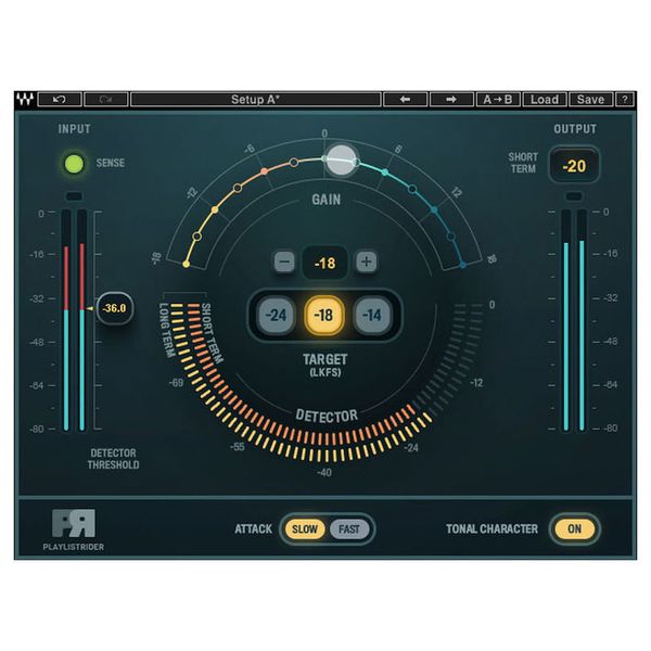 Waves Playlist Rider