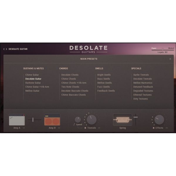 e-instruments Desolate Guitars