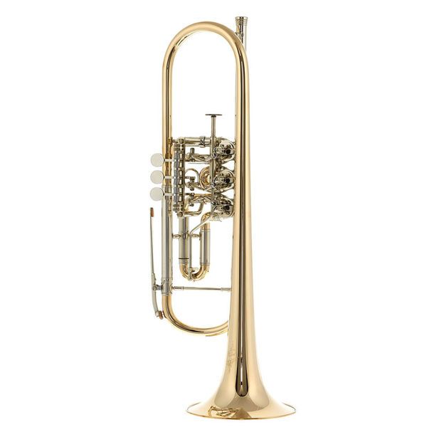 Peter Oberrauch Venezia Bb 11,05 Raw