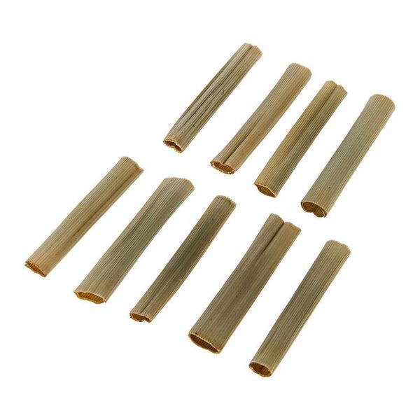 Leblanc Schachtelhalme