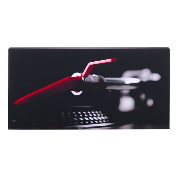 t.akustik Print Panel The Needle