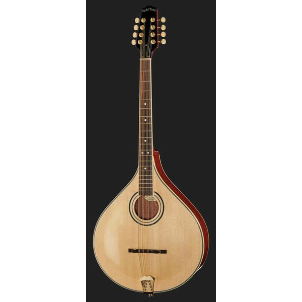 Gold Tone M-800+ Octave Mandoline