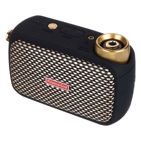 Positive Grid Spark Go