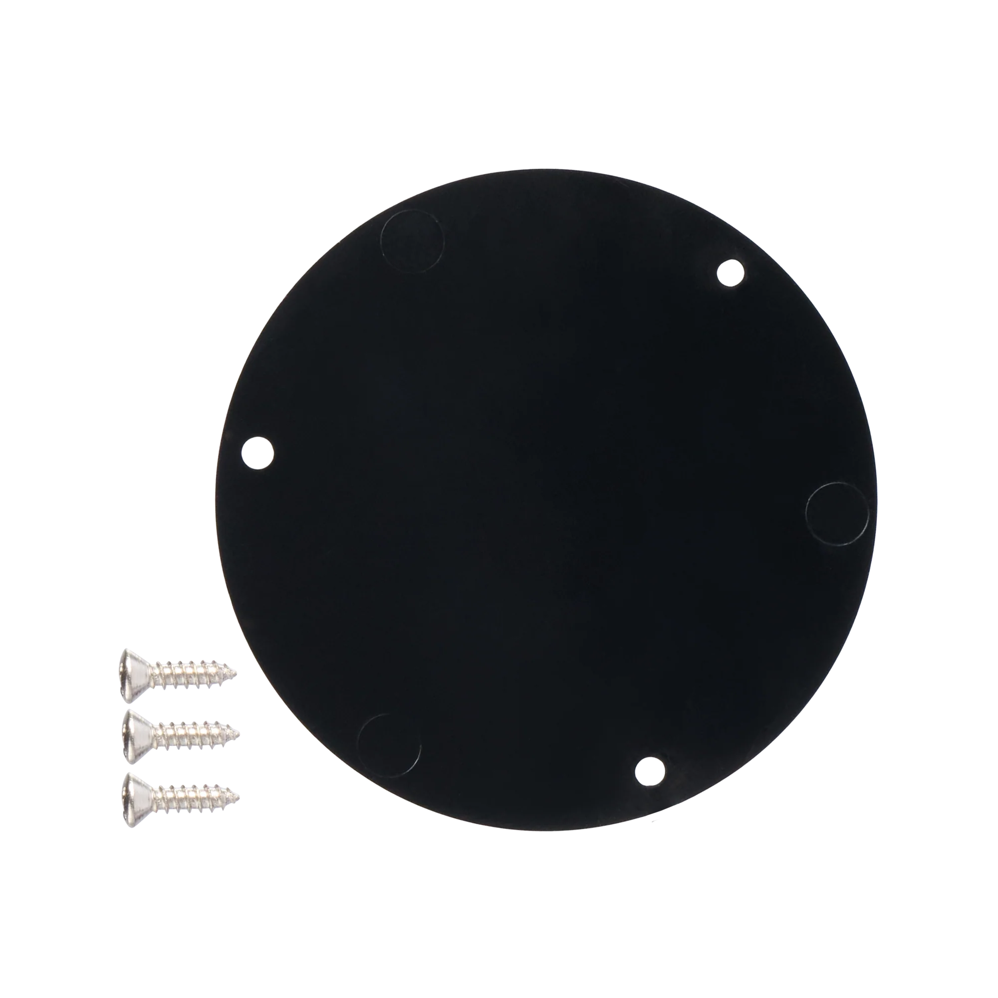 Gibson Historic Reissue Les Paul Switchplate, Exclusive