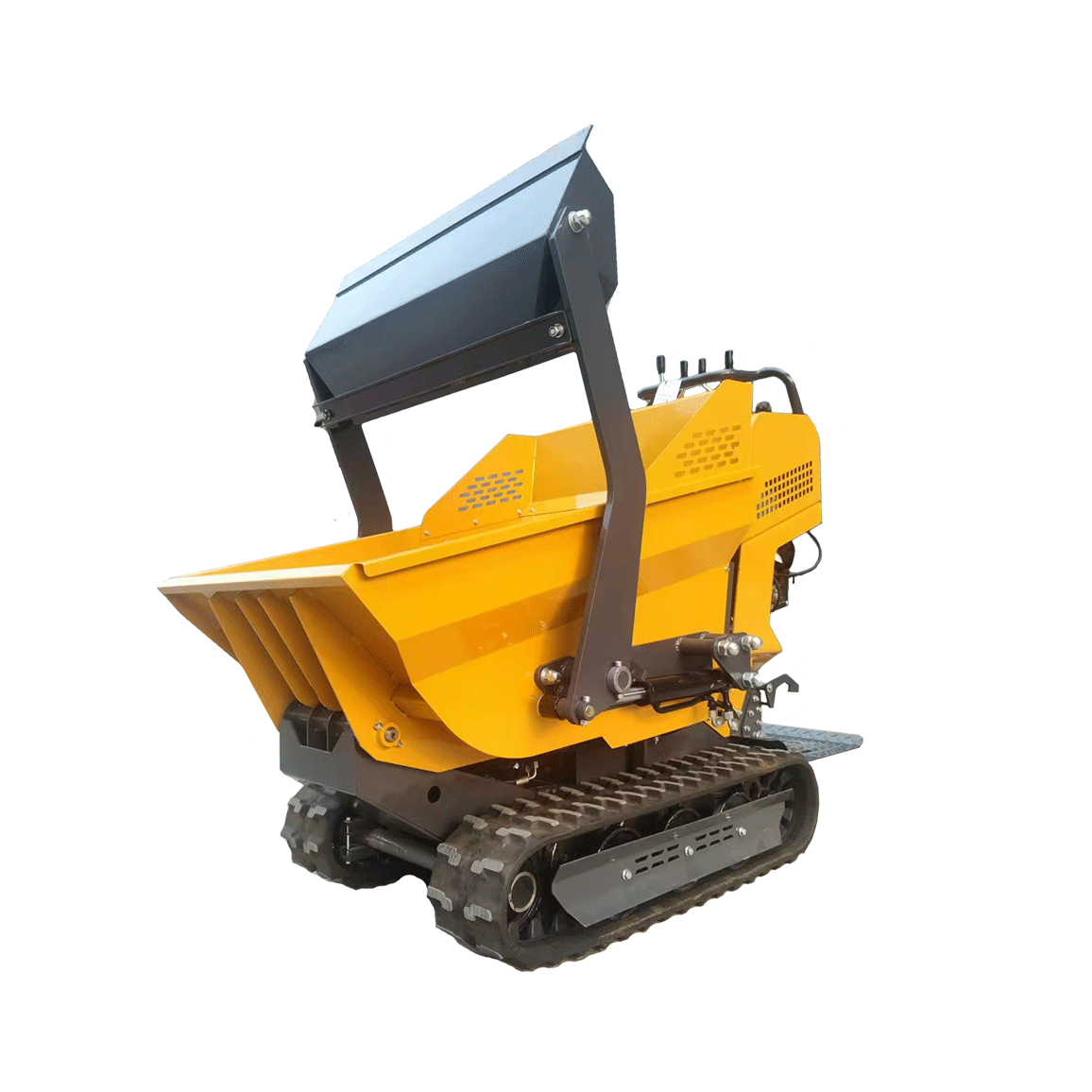 LY-F05A Crawler Carrier