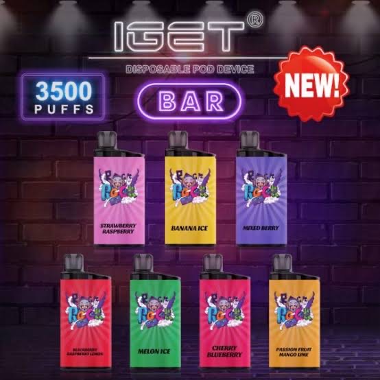 Buy IGET Bar With 3500 Puffs Disposable Vapes and Flavors Online in ...