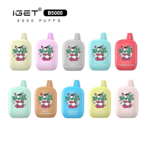 IGET B5000 Puffs 13 Flavors
