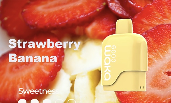 WAKA SoMatch MB6000 Pod ONLY 16Flavors