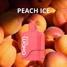 WAKA SoMatch MB6000 Pod ONLY 16Flavors