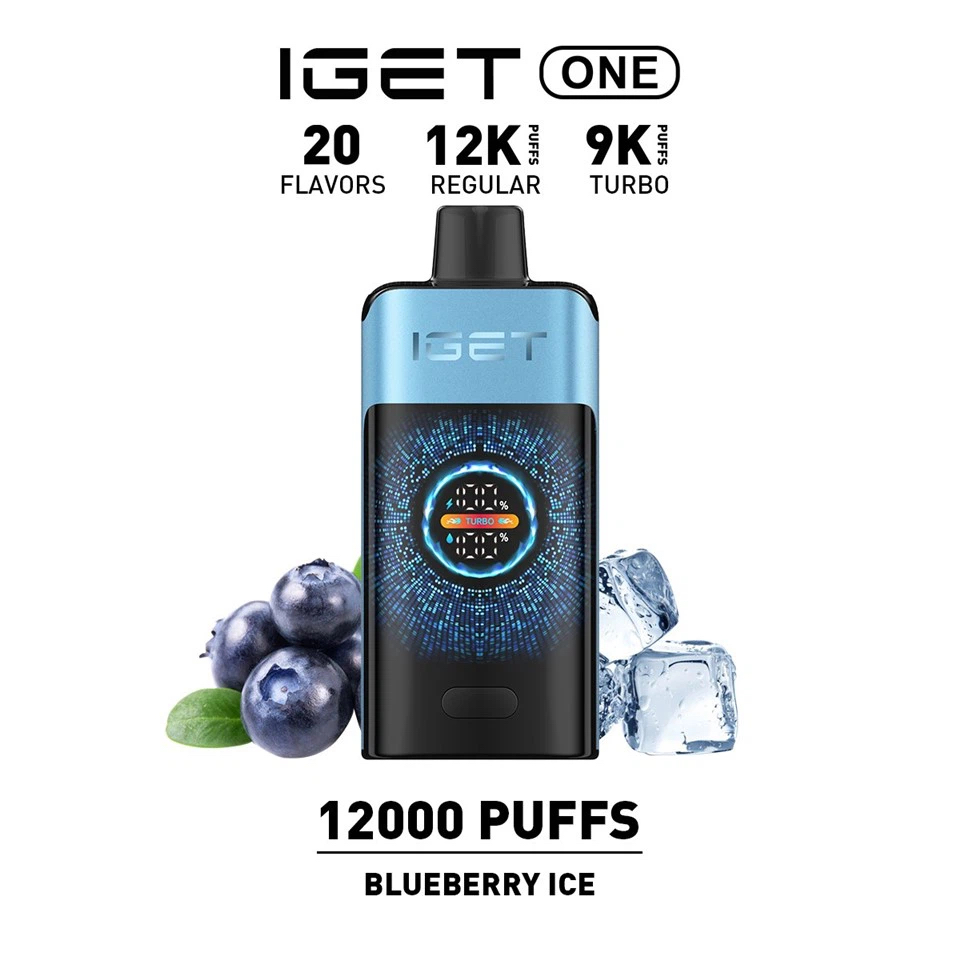 New IGET ONE 12000 Puffs 11 Flavors