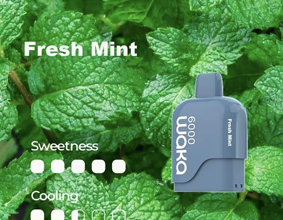 WAKA SoMatch MB6000 Pod ONLY 16Flavors