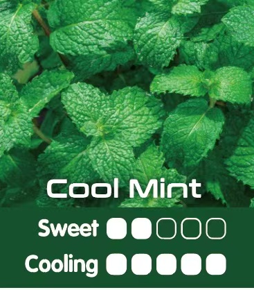 new SEREIN Mech Pro 12000 Puffs 15 Flavors