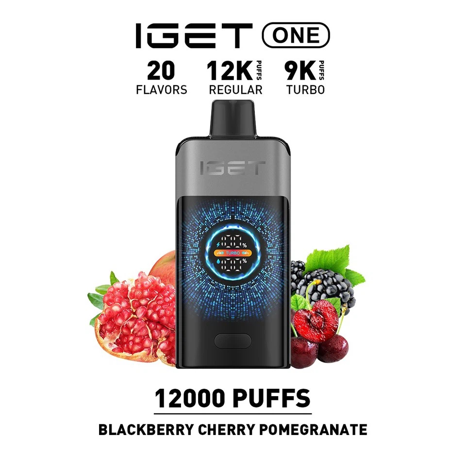New IGET ONE 12000 Puffs 12 Flavors
