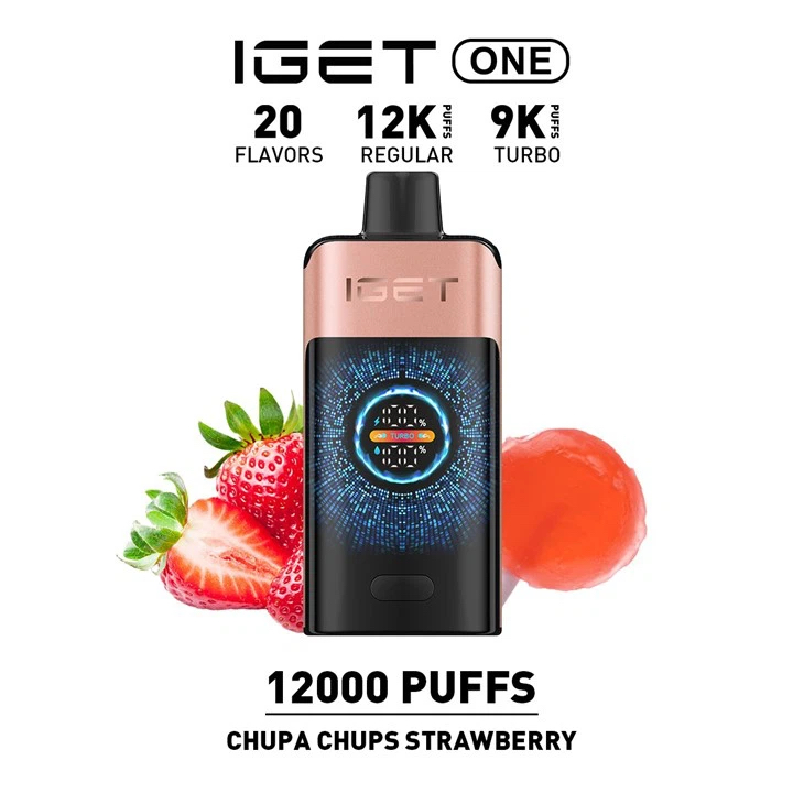 New IGET ONE 12000 Puffs 12 Flavors