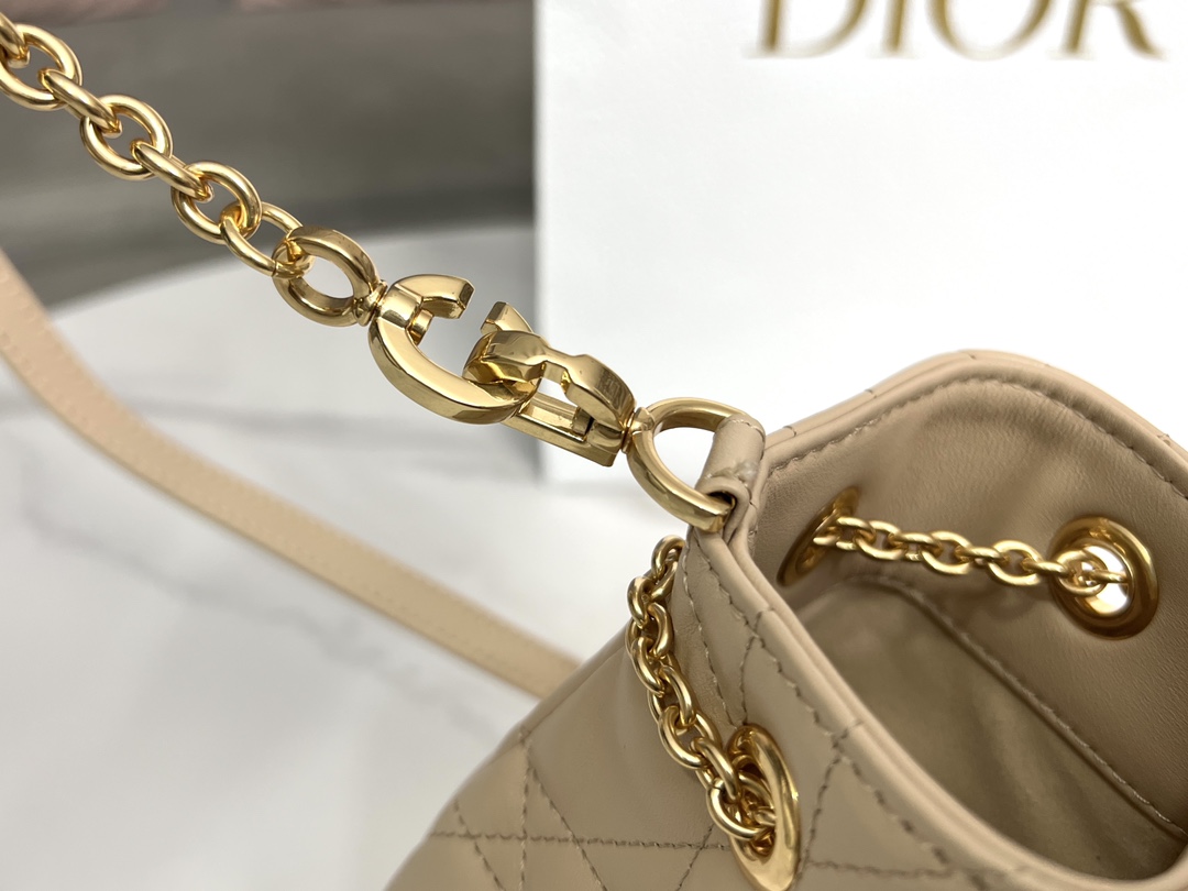 Dior Medium Ammi Bag