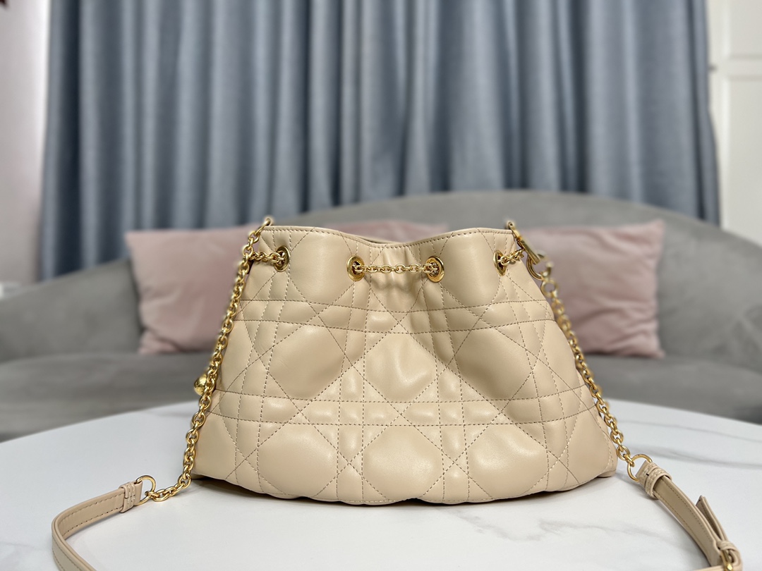 Dior Medium Ammi Bag