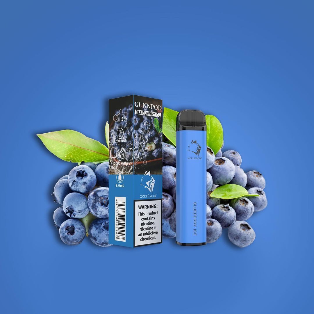 Gunnpod Classic 2000 Puffs Blueberry Ice