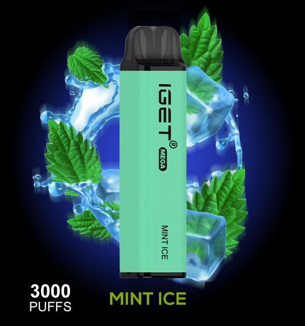 IGET Mega 3000 Puffs Mint Ice