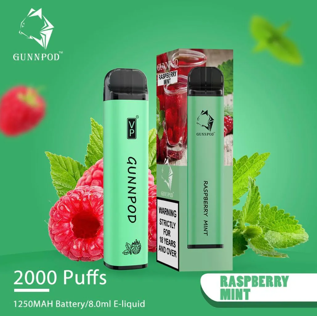 Gunnpod Classic 2000 Puffs Raspberry Mint