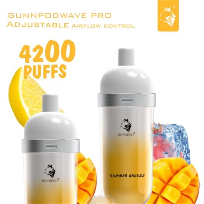 Gunnpod Wave Pro 4200 Summer Breeze